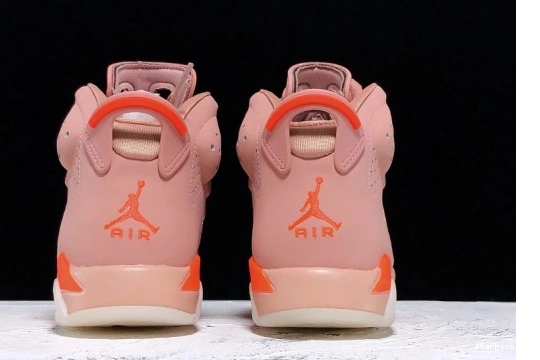 Air 6 Aleali Pink” CI0550-600 Jordan CI0550-600 “Millennial x May 1126